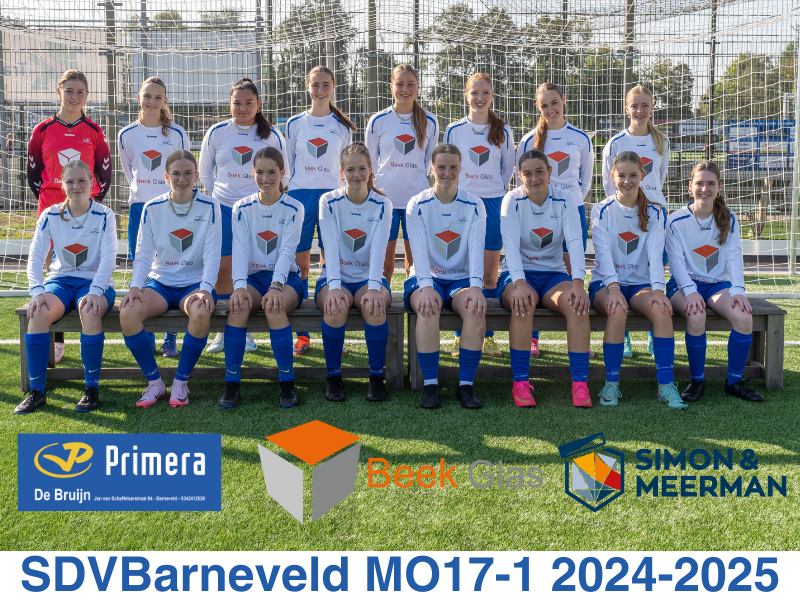 sdvb mo17-1